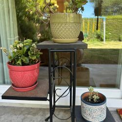 Plant Stand (With Or Without Plants)