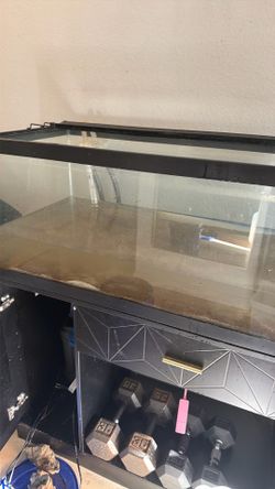 FREE 40 GAL tank with fishes.