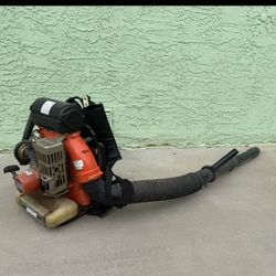 Gas Leaf Backpack Blower 