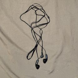 Regular Black Earbuds (no silicone ear things) 
