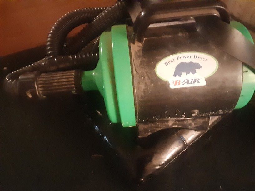 Bear Hair Dryer