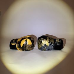 Fairtex Muay Thai Boxing Gloves – Limited Edition Dragon & Phoenix Design (8oz)