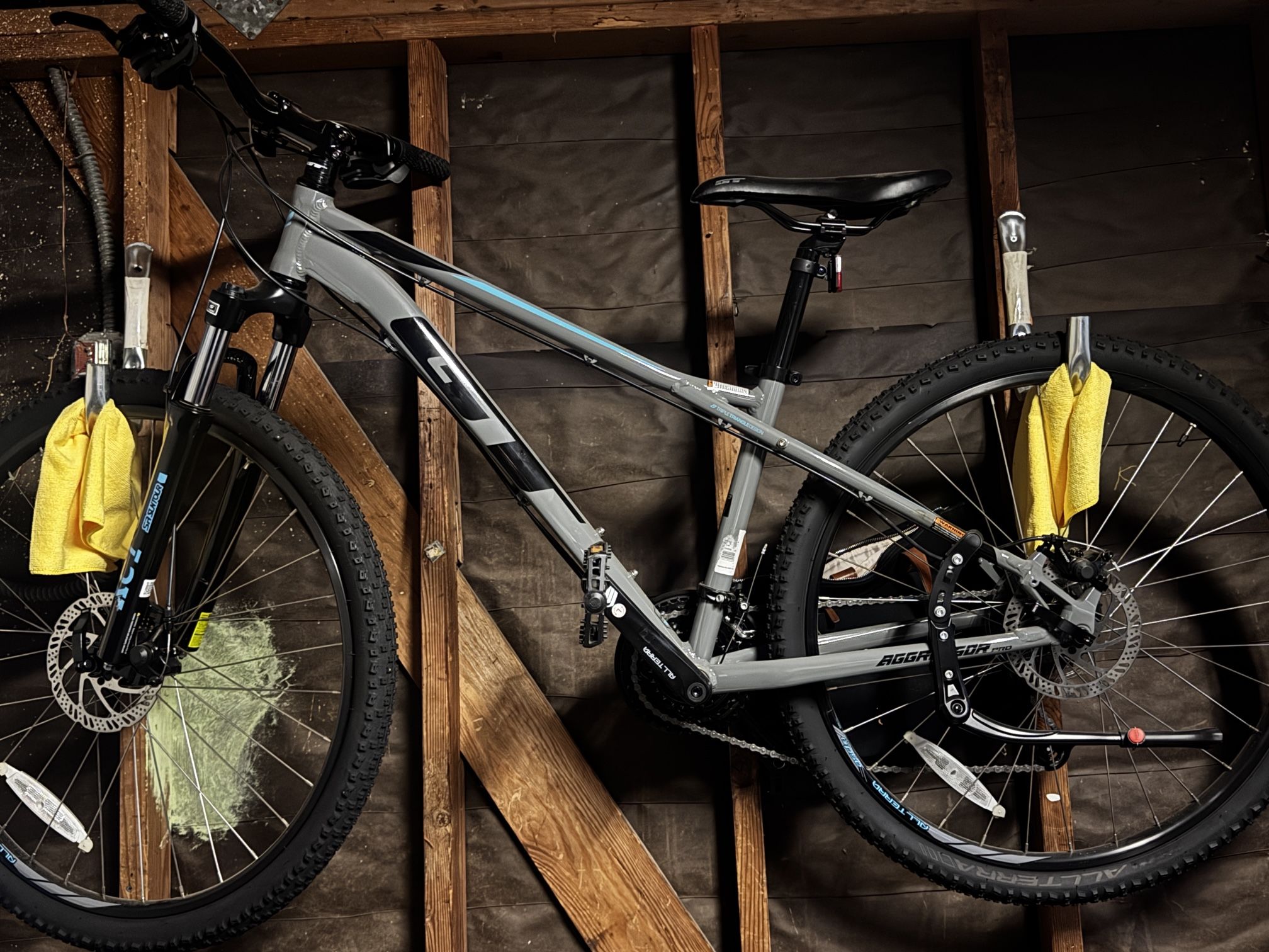 GT Mountain Bike Professional