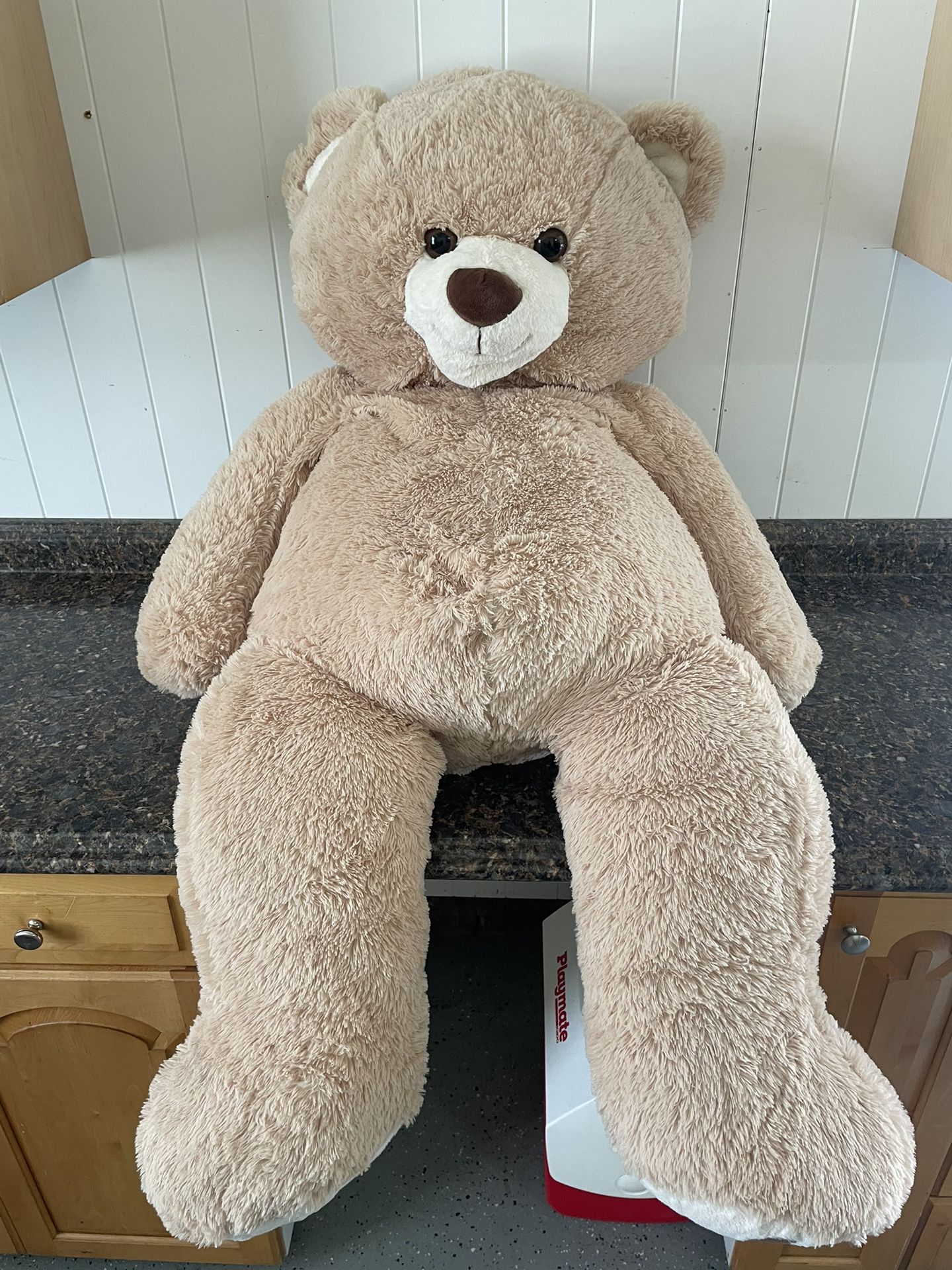 Giant Teddy Bear $20