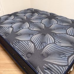 Brand New Perfect Sleeper/Sleep Excellence™ Plush Mattress