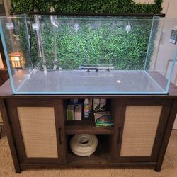 Rimless Aquarium