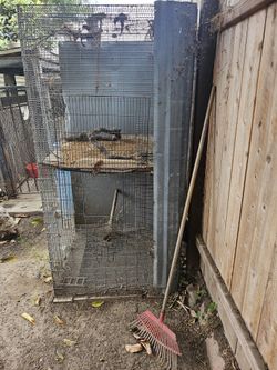 Bird Cage