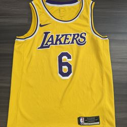 Nike LeBron James Los Angeles LA Lakers NBA Swingman Jersey Adult 48 Large