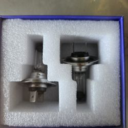 H7 Halogen Light Bulbs