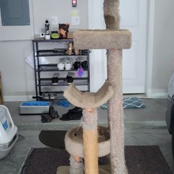 Cat Items For Sale