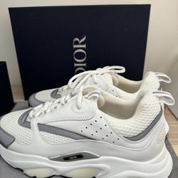 Dior B22 White Silver 