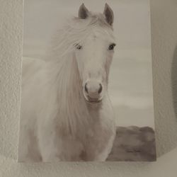 Horse Painting 