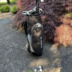Golf Clubs (with Cobra bag)
