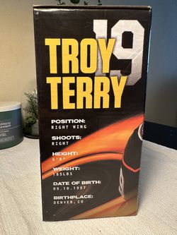 Anaheim Ducks Troy Terry #19 Bobblehead Hockey New UCI Health