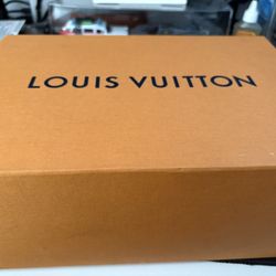 LV Authentic Silver Shoes