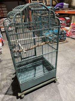 Big Bird Cage - Jaula De Pajaros Grande