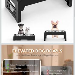 Elevated Dog Bowls for Small Medium Dogs - Adjustable Mess Proof Raised Dog Bowl Stand with 2 Premium 17oz Stainless Steel Food Bowl Dish Feeder Adjus