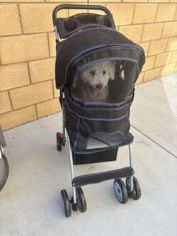 Dog Stroller