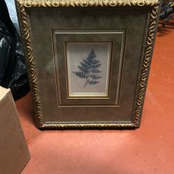 Botanical Leaf wall Print Frame 