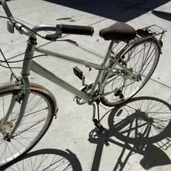 Adult Bike
