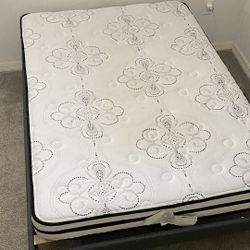 Full-Size Mattress 