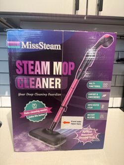 Steam Mop