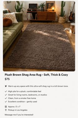 Brown Shag Area Rug 5x8