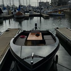 2016 RAND electric boat german 🇩🇪 Torqeedo Motor & Batteries 99%