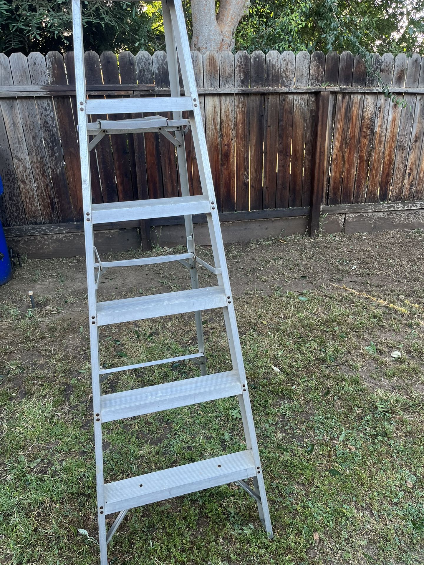 LADDER