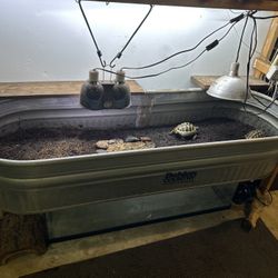 Metal water trough 6 feet long in perfect condition!  