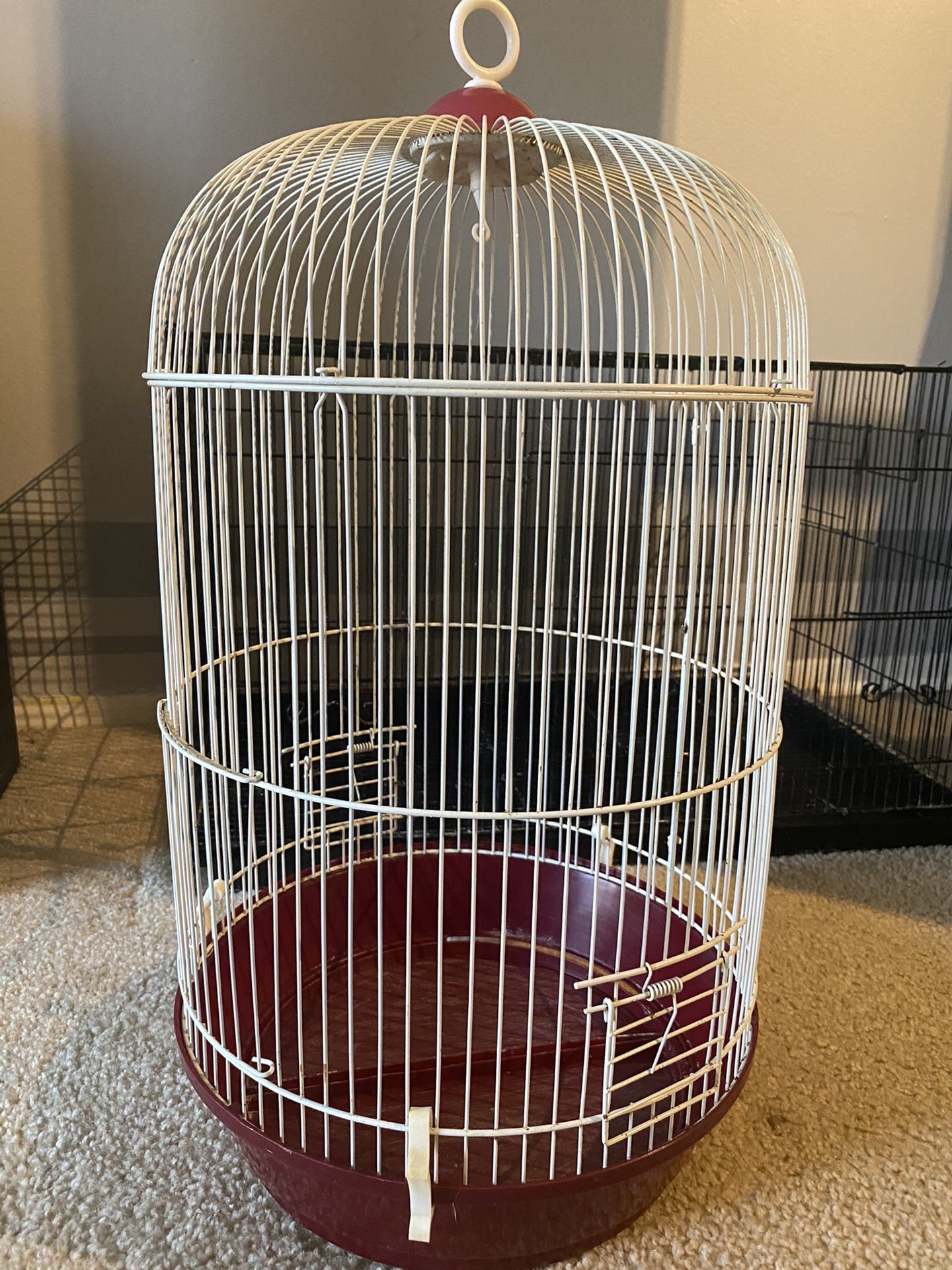 Bird cage