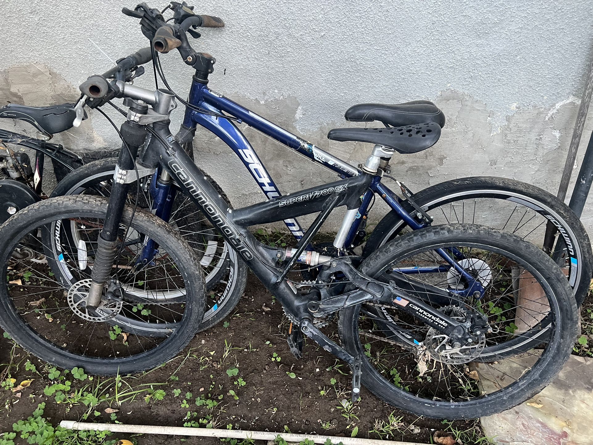 Cannondale Schwinn bikes
