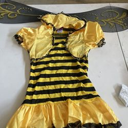 Ladybug
