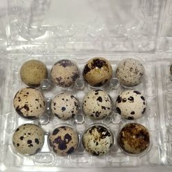 organic quail eggs