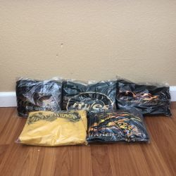 Harley Davidson T-shirt Lot Of 5; L, 2X, 3X