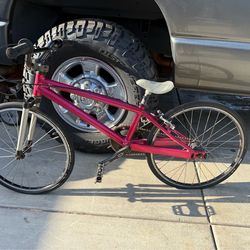 Red line skinny tire