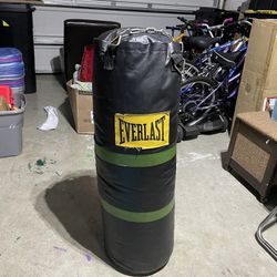 Everlast Punching 70 Pound Bag