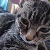 Tony