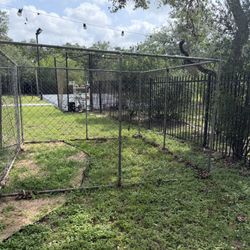 Dog Cage
