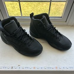 Jordan 12