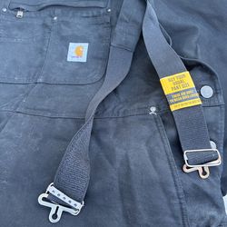 Carhartt Men's Insulated Overalls