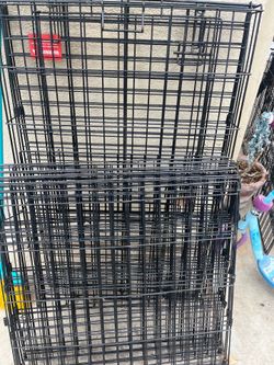 Dog kennels and gate
