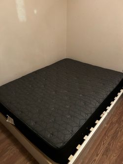 Sealy Queen Mattress