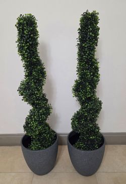 PAIR of 4ft Faux Boxwood Spirals in 12in Dark Gray Planters (2 for $120) @ Lasting Creations