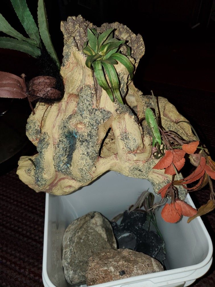 Decorative housing for fish