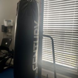 Heavy Bag w/ stand & Gloves