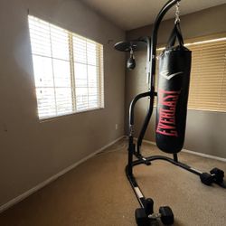 Punching Bag With Stand And Speed Bag