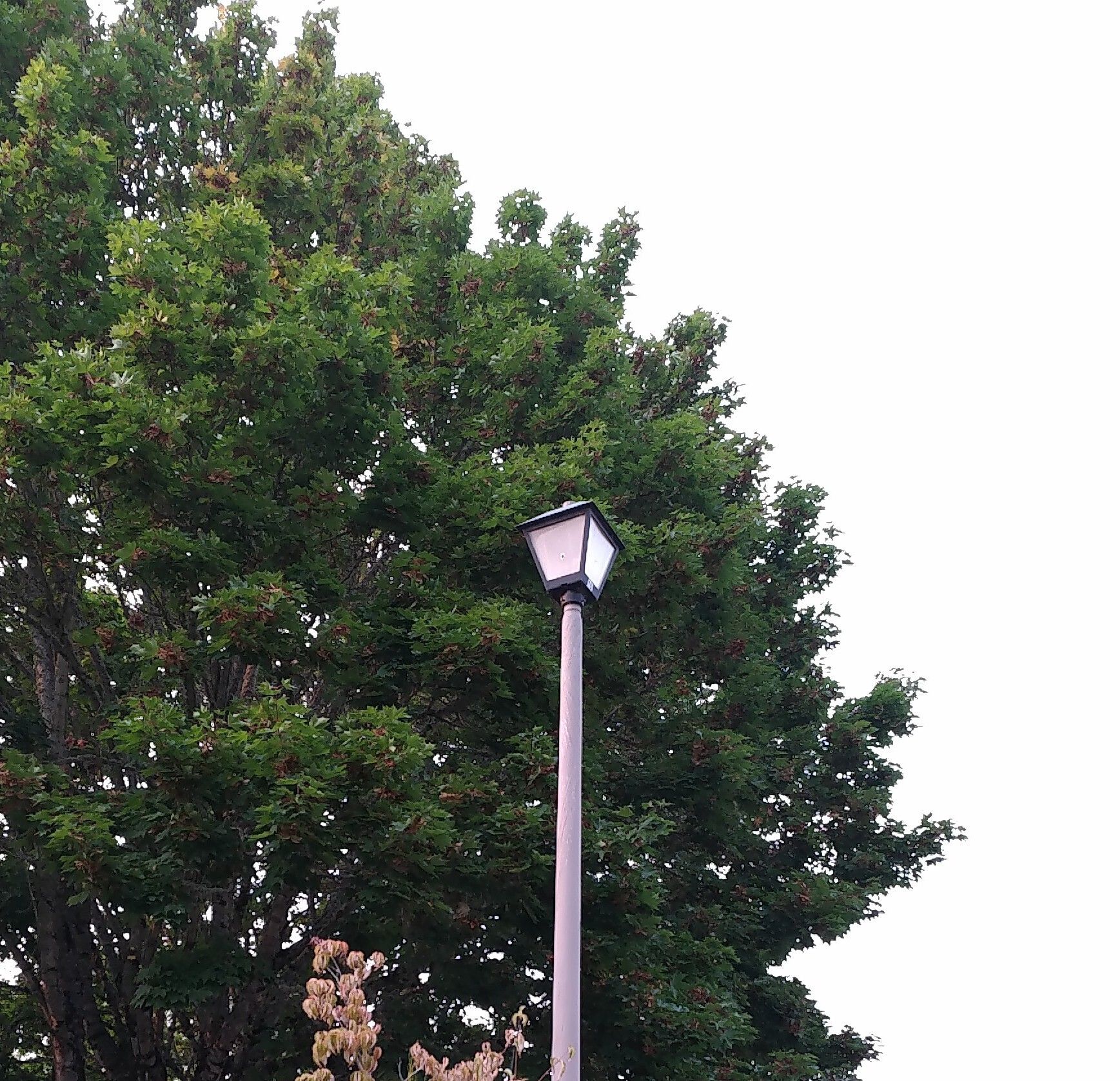 New light fixture it mounts on a fiberglass post
