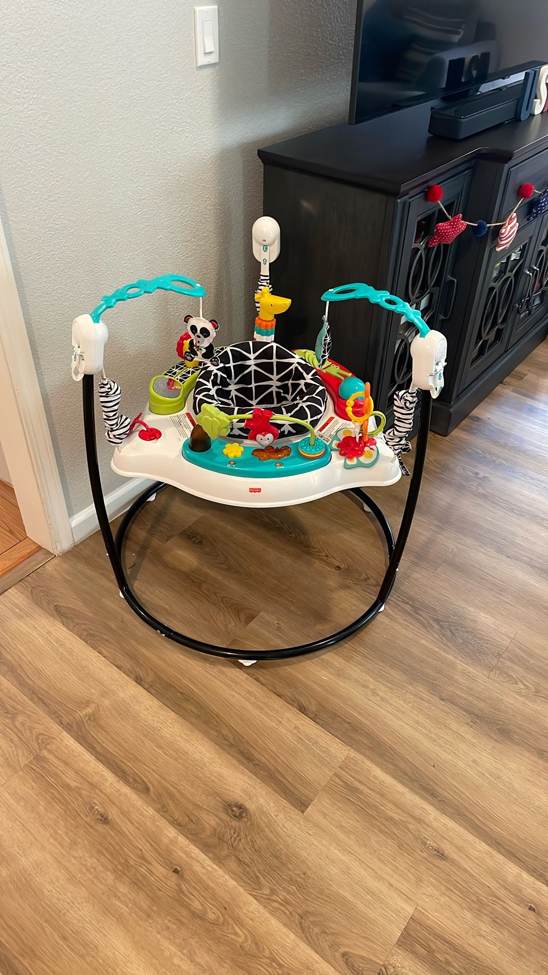 Fisher Price Jumperoo Jumper Toy