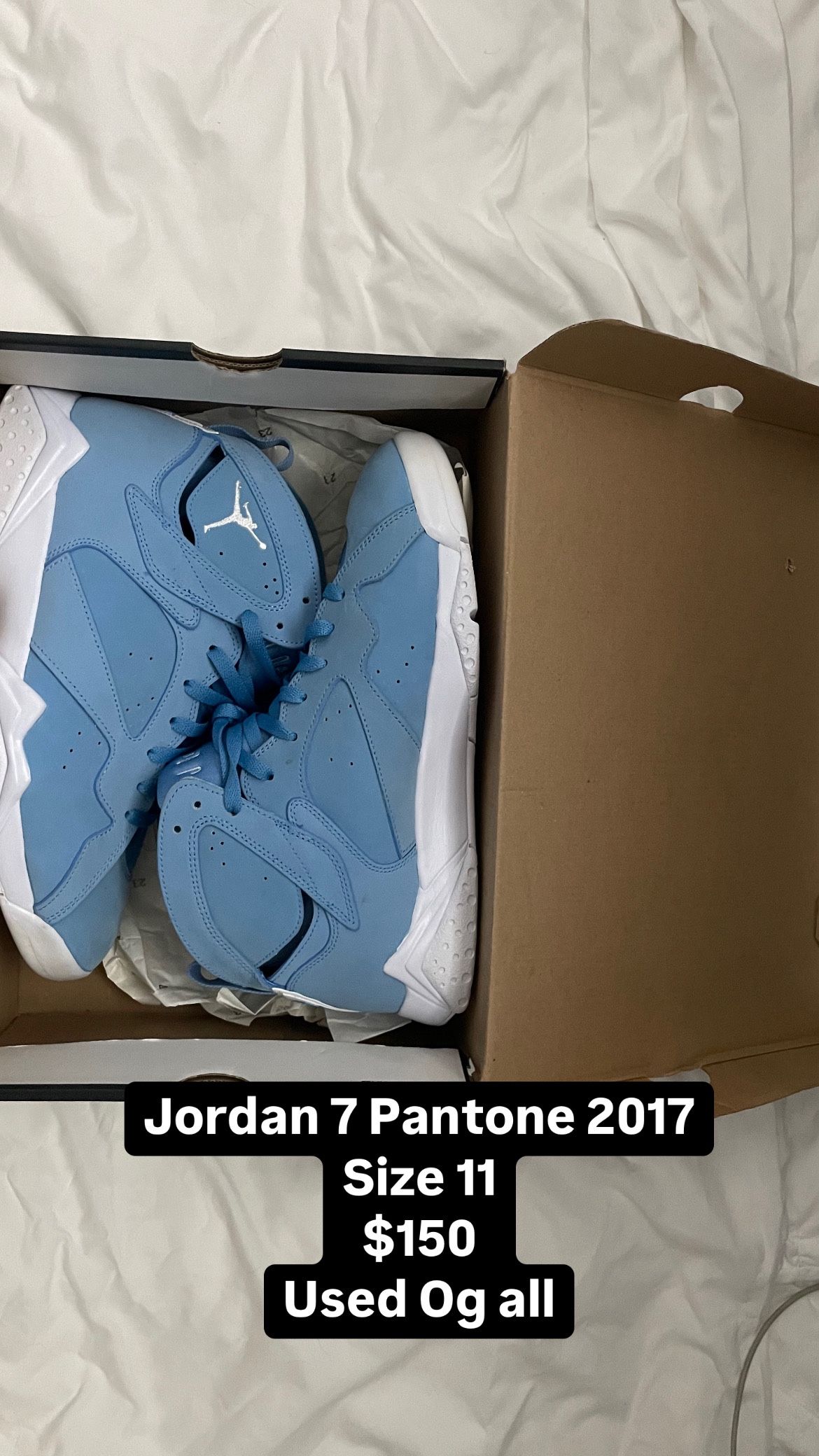 Jordan 7 Pantone